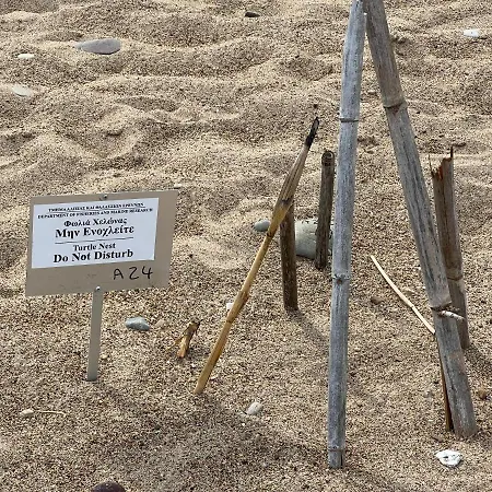 Jomavi Eco-villa * Polis