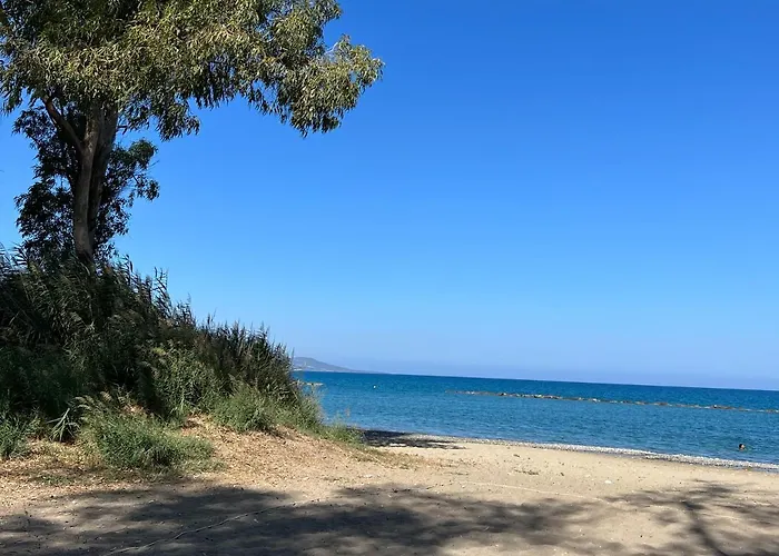 Jomavi Eco-villa فيلة *