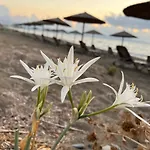 Jomavi Eco-villa Villa