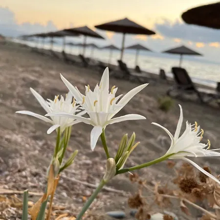 Jomavi Eco-villa 别墅