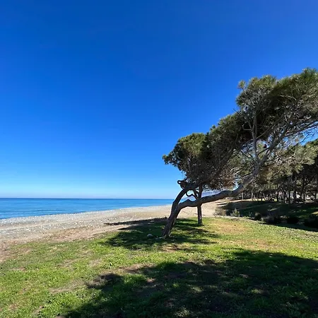 Jomavi Eco-villa Polis