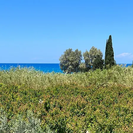 Jomavi Eco-villa * Polis