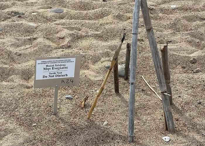 Jomavi Eco-villa * Polis