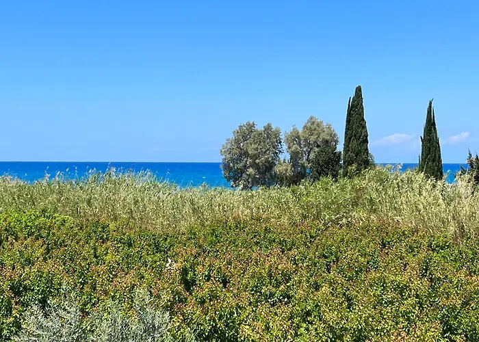 Jomavi Eco-villa * Polis